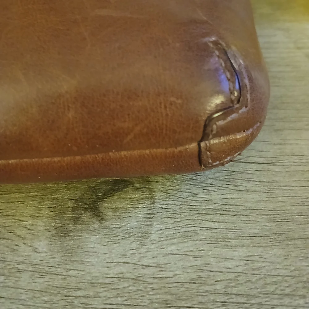 Coach stylish brown